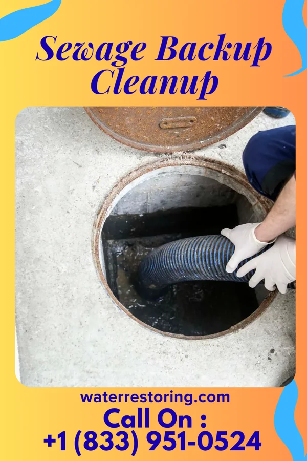 Sewage Backup Cleanup in Dearborn, MI