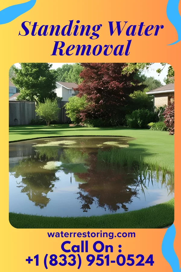 Standing Water Removal in Dearborn, MI